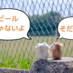 ハーフ＆ハーフ最強説